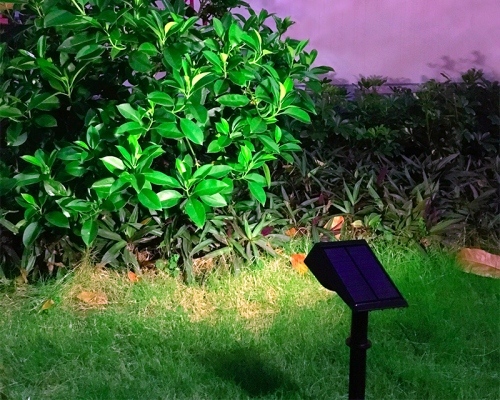Solar Powered Lawn Lamps