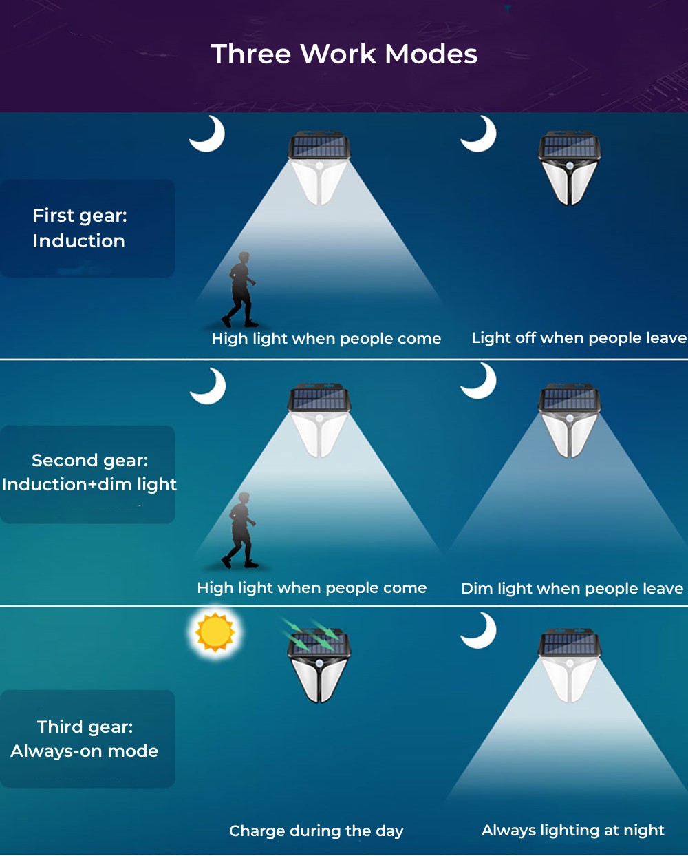 Solar Eagle Eye Wall Lights